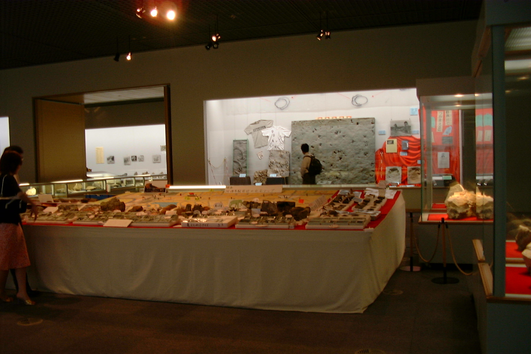 鉱物・化石展